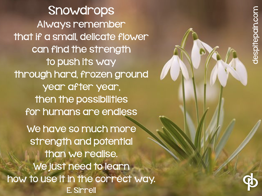 Snowdrops poem, small delicate flower, strength, potential, chronic illness, pain.