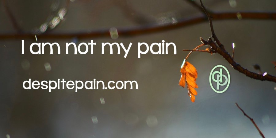 I am not my pain. Pain is part of my life, but it is not me.